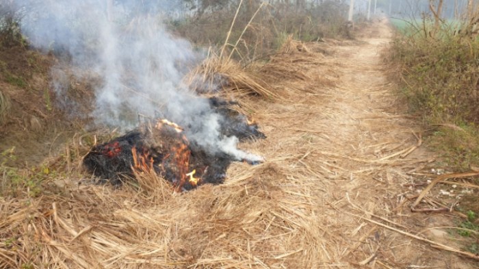 c3f6fccdbd2e93d5a54c2c758cc0eb4dfdfb1246