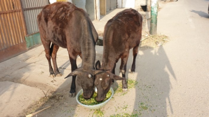 c69c5907b41757dfc820461c83a9d7ca4f4b7628