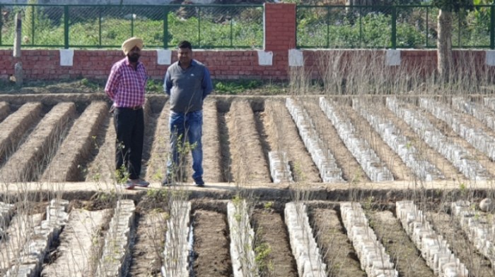 c8fdcc2a53d08147c0dc096a9d698c329fb2788c