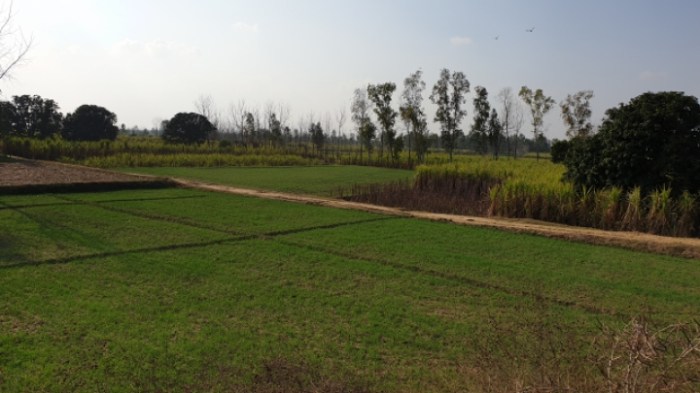 ce97abcab3cc1a89c9a1bf227cc90ac9715b3285