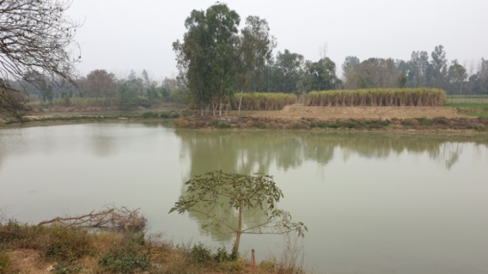 d68095ff9666a4a01da215087a40928c6f022cc5