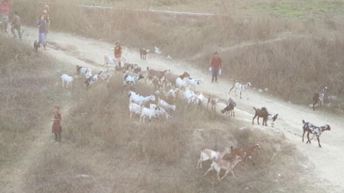 d6c4102911b15a23d7afc633949a95d503fa226d