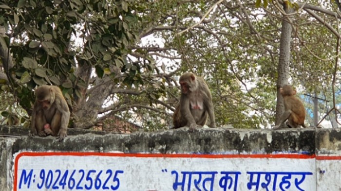 e1eb0fad3a9381894e030b1cb6c97b13b247f604