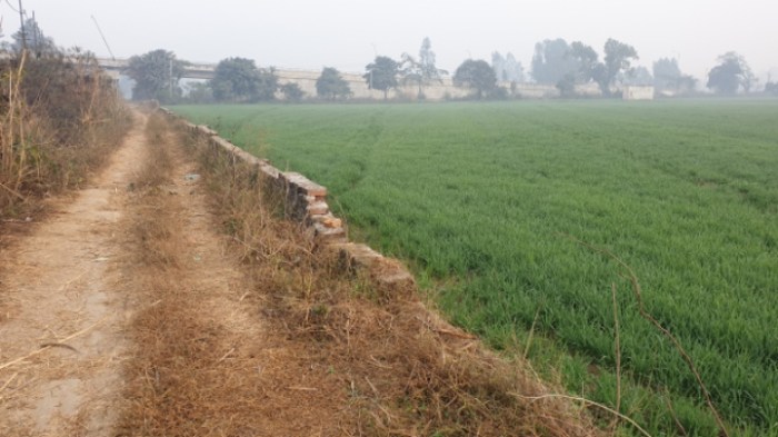 ea5784876f3fcc85927737d2d33efc6301fccb02