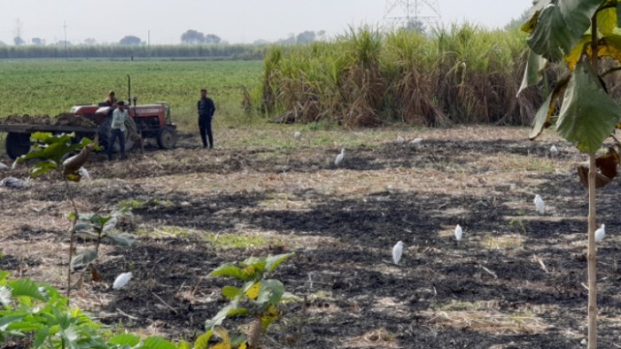 f8b3eb984b01717bedbd34b408543d9913138ff4