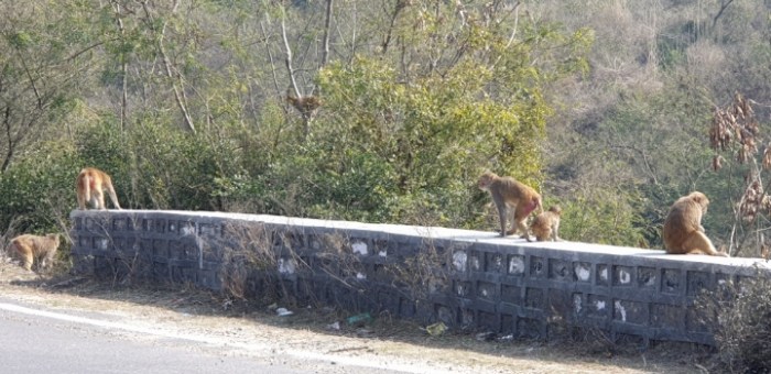 058a925a22be3f5391c2cc43bbecce824d5e8cbf