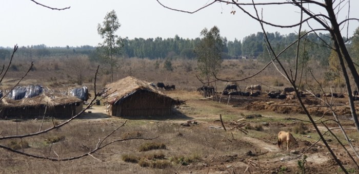 0851ddbfab852a72e6da26aea4d54430027c37f8