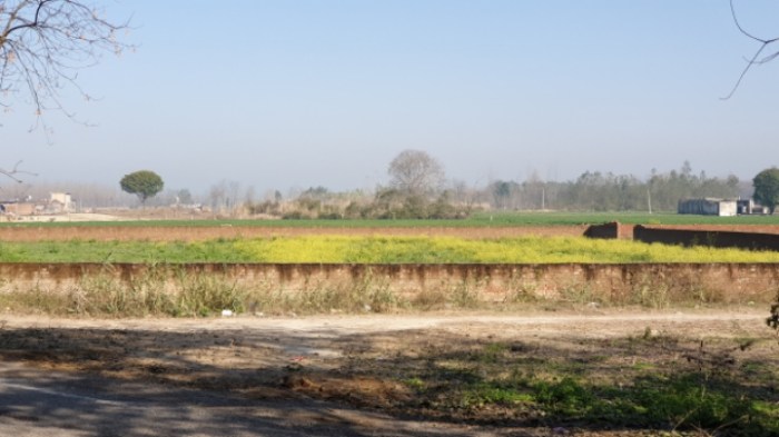 0c0162d5c149f843b3e7251c7b8998cd4f4491a2