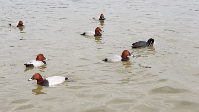 2a6f2a0b0ced38d14e30ed737ced0c8f5c6ead1e