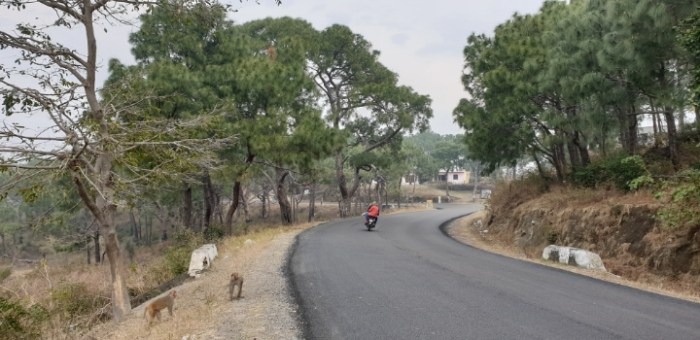 2d429117dd72375fab2e6ccf60e5ac812b346f5a