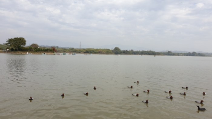 3335ca1091808bd278c869f675176b46eaae13d5