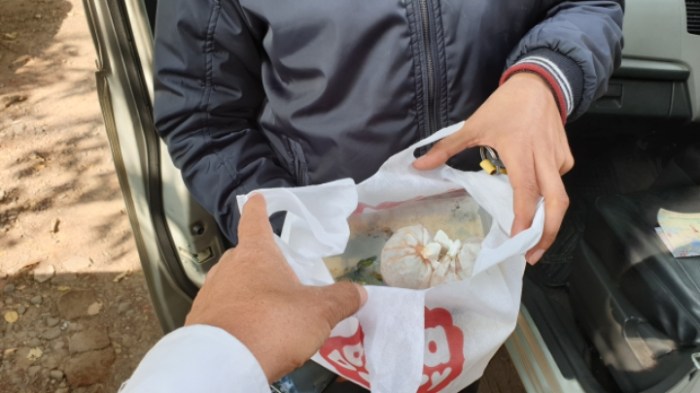 3a055740c1964a9bdc1f9c3a40d73e245b74f826