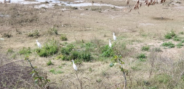 3c28ca9724e734f42c08619912ad467a3415059b