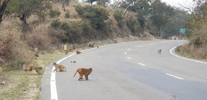 3df89fc960ebee9e8da491c681ecfc310aa7552e