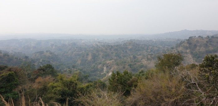 40b4909d15373bb6730d8d144f6efe512ec53dc3