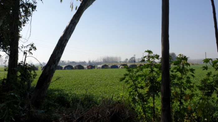 43db0a892b3f8220fff00e3c0db56631f1e4b865