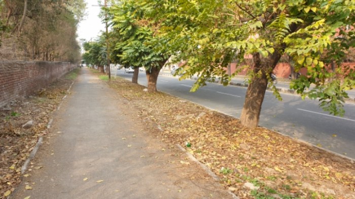 499f2b9861eec9b6dd8018af51a2000bf88f6bfe