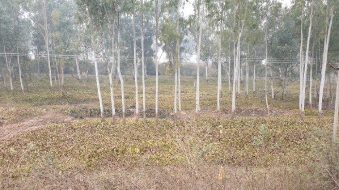 4a1ed570d19d67b4e81268a004a8e395b7f2a31e