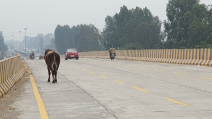 5e3c8669f95bac854add9b647bb6a4f3890b1d31