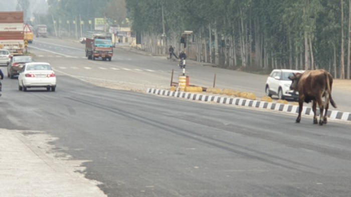 66d2457dd2f6c0447594cce99708a04a85d3e1c8