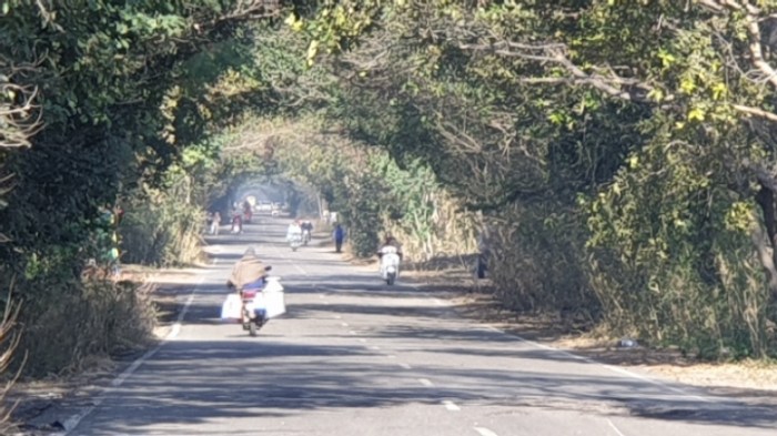 729d5dea2cf86b4519d2f62ada50506d30d0235b