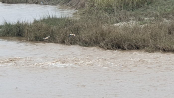 8a518f01799f17bc4a8c5a2e2fbdc0682c718f9d