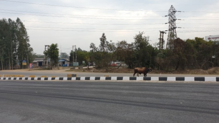 a3aba85e33c16937744c3bb1f6f8abc80a1b772e