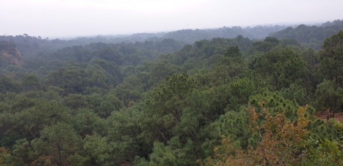 a633aa56073dd6a4e0fc062cc8658fd964248803