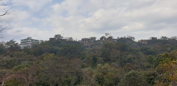 aac7775bef8f8e9170c1a231c2b7f7f7773ce80d