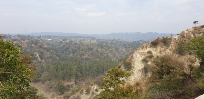 cff01bacb05e32b10be0a2537856a5811922c48d