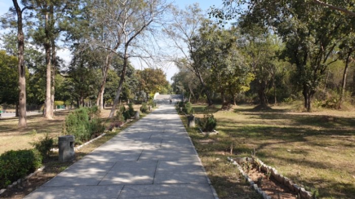 d1bd13b559a7dec24b69c3f6ad43e1f019036fb9