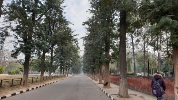 d726516c9ba395ddef46899ea29d77abecc97b4d