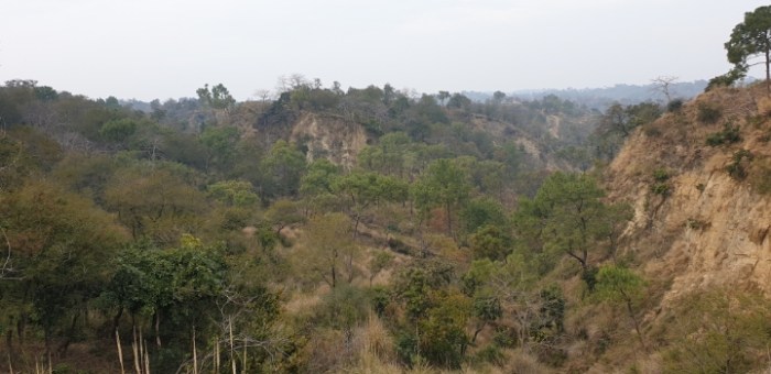 d854300a012e9b626fe75ddc1c5d59ae38480bf6