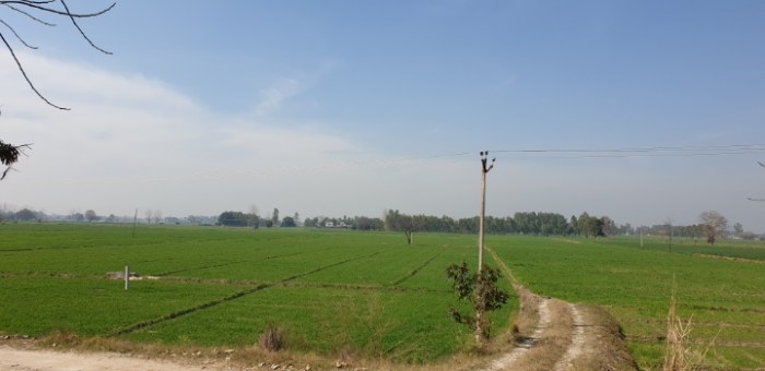 d966e433d9242edd256299bca546ed2fd1860a9b