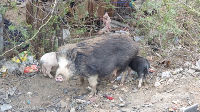 de6b033b9513d44c0a928bfe1cd44db8207de348