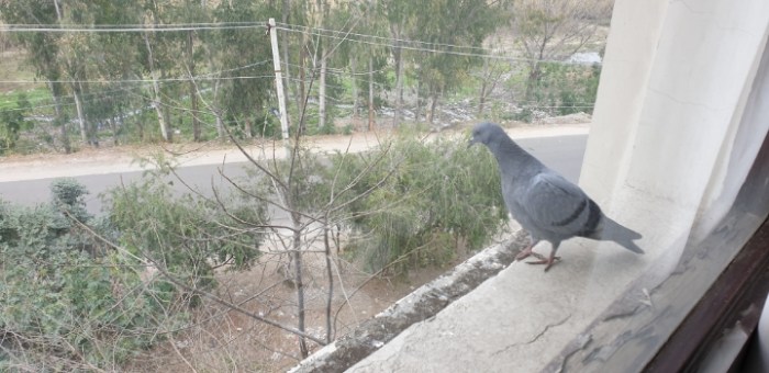 f42359a53468e1fb1fb9ac935b32e51045238cb7