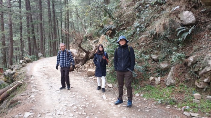 030db0f8a263f604c0799b4727d2a97da94809c9