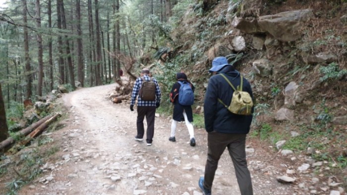 23fc0d96c0e1835a1c5765042df0894f3903d6c4