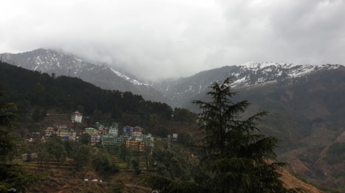 91863f0019cd173383a504ea330e278807e04cc5