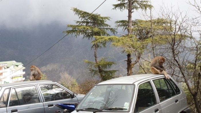 b1687403ec9dff7f1529155f98dd32d4ef4a1d2f