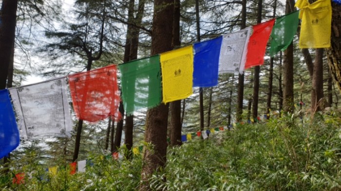 ffa26df7b70f0fd5f734ec467230a8b950e062e4