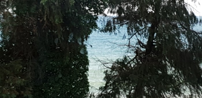 0129808354d3b213501348085e6b2b02fc7b0d4a