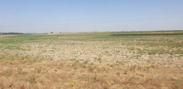 01ea68edb876b00b6887d0aa077a6e1d455fd4eb