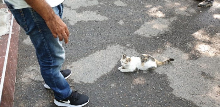 15a3cf3800da75ceaf97538a4d6ea6f64ce28fcc