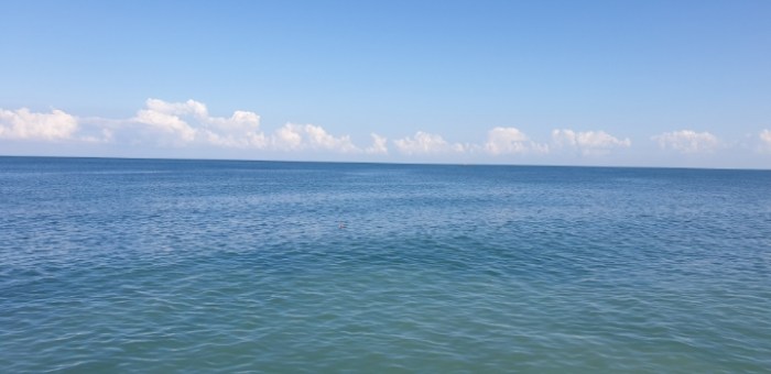 3239966ca3208dba595625526d322e82615f7231