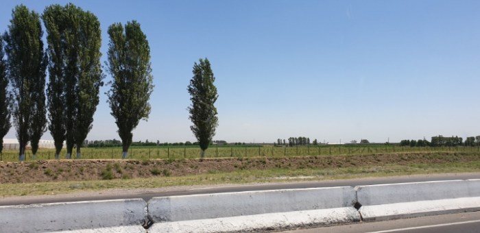 3499f04129855286354dfd21d3c238030b368740