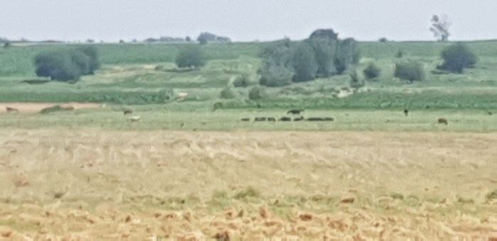 586ca985cd639c34c2f8bf40e3da6e7f634729c1