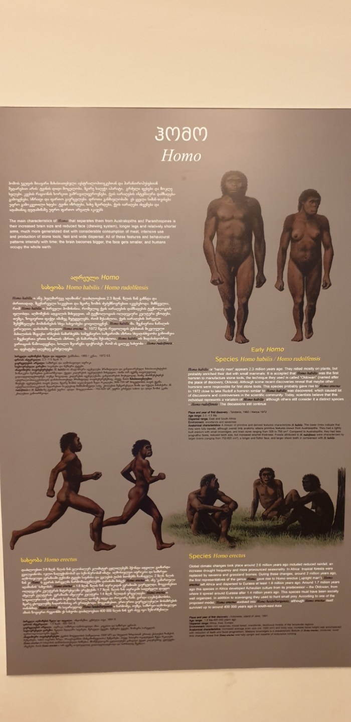 5d1c7e3628c12659179925687df739500ecd4416