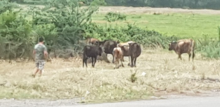 7e8b24fcf3c0b53ca45e2bda12247d54f81aec05