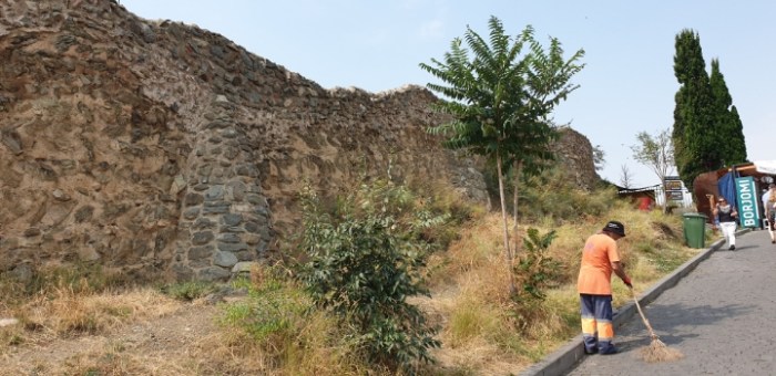 7ed8f83a2e404fbb62da19a7169a0381277f9a8a